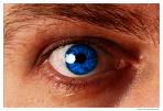 Human Eye